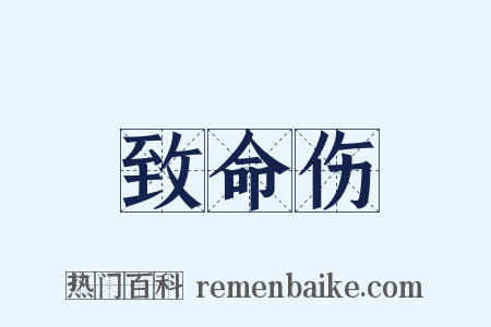 致命伤是什么意思的图片
